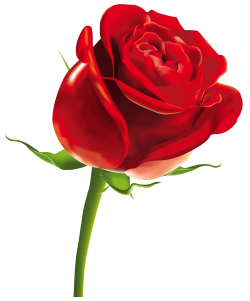 Gift Image