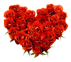 Gift Image